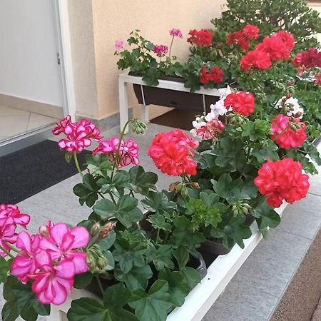 Apartment Marelja - Private Parking And Balcony Zadar Zewnętrze zdjęcie